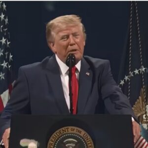 Donald Trump Money Family Office